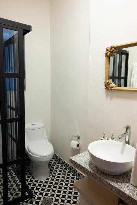 Apartment House, Spacious, Bright, Near To Ave. Reforma Mexico City