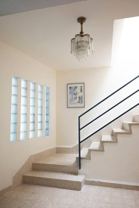Apartment House, Spacious, Bright, Near To Ave. Reforma
